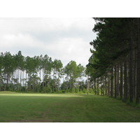 The 15th hole at Lakeview Golf Club in Blackshear, Ga., is a dogleg right, lined with pine trees down the right side.